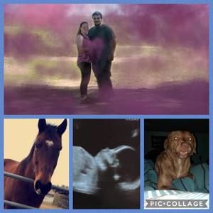 Meet your Posher, Haley